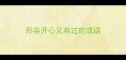 形容开心又难过的成语