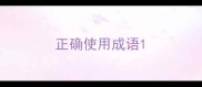 正确使用成语