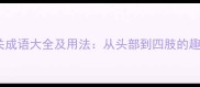 身体部位相关成语大全及用法从头部到四肢的趣味汉字智慧