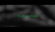 什么阳什么开成语
