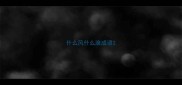 什么风什么浪成语