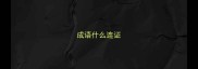 成语什么连证