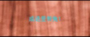 成语里带兔