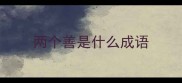 两个善是什么成语