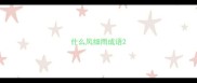 什么风细雨成语