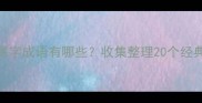 常见开头是尾字成语有哪些收集整理20个经典成语及用法