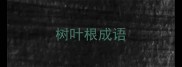 树叶根成语