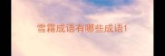 雪霜成语有哪些成语