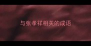 与张孝祥相关的成语