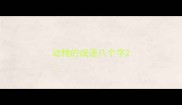 动物的成语八个字