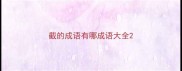 截的成语有哪成语大全