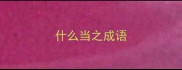 什么当之成语