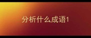 分析什么成语