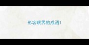 形容眼界的成语