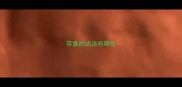 带囊的成语有哪些