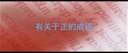有关于正的成语