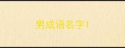 男成语名字