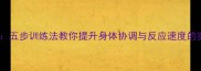 身手矫健五步训练法教你提升身体协调与反应速度的实战指南