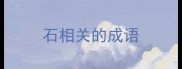 石相关的成语