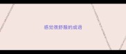 感觉很舒服的成语