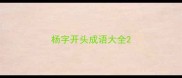 杨字开头成语大全