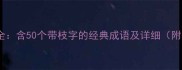 枝的成语大全含50个带枝字的经典成语及详细附用法指南