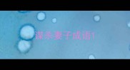 谋杀妻子成语
