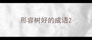 形容树好的成语