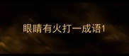 眼睛有火打一成语