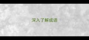 深入了解成语