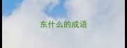 东什么的成语