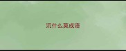 沉什么莫成语