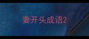 妻开头成语