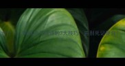 力高效学习成语的3大技巧告别死记硬背