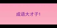 成语大才子