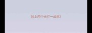 脸上两个光打一成语