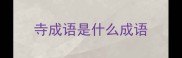 寺成语是什么成语