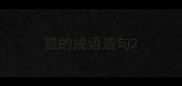 鼠的成语造句