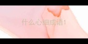 什么心细成语