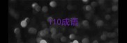 110成语