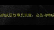 黄鼠狼与狐狸结亲的成语故事及寓意这些动物成语藏着千年智慧