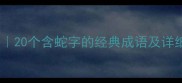蛇前后成语全收录20个含蛇字的经典成语及详细附学习技巧