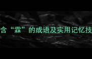 霖字成语全30个含霖的成语及实用记忆技巧附真题应用