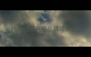 代的成语有哪些成语大全