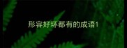形容好坏都有的成语
