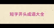 短字开头成语大全
