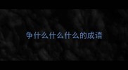 争什么什么什么的成语