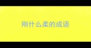 刚什么柔的成语