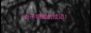 表示明媚的成语