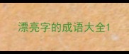 漂亮字的成语大全